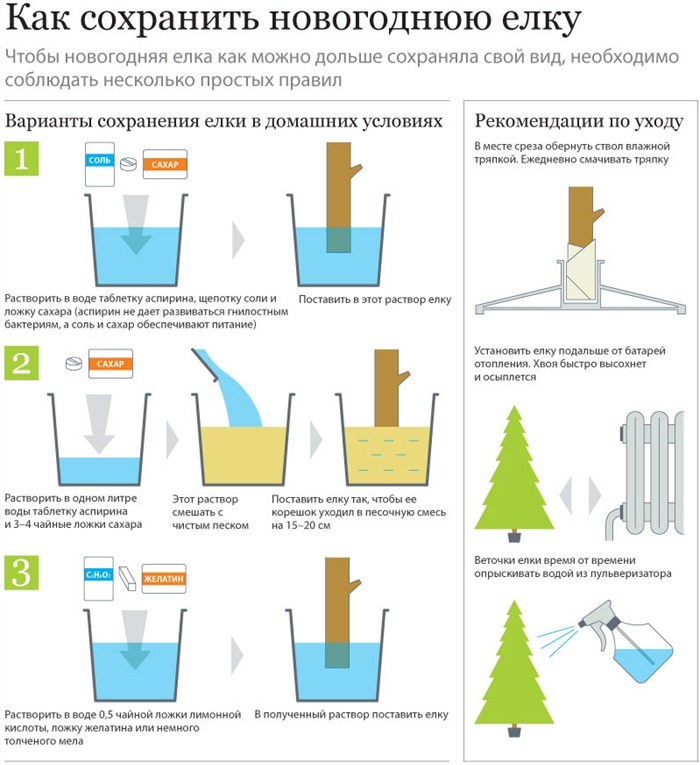 Kako spasiti božićno drvce (Infografika)