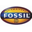 Fossiel