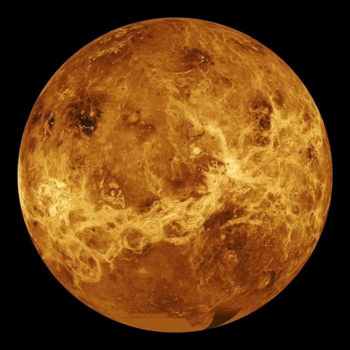 Venuša