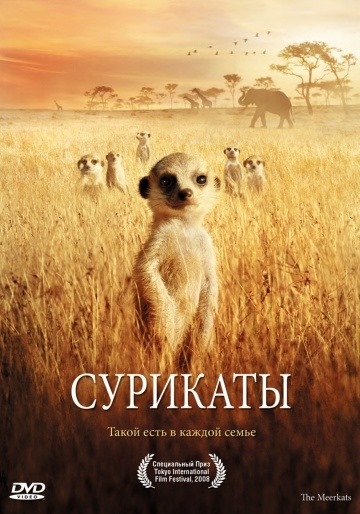 Meerkats (2007)