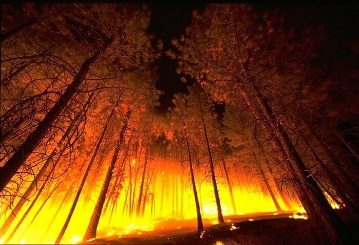Buriatijos miškų gaisras