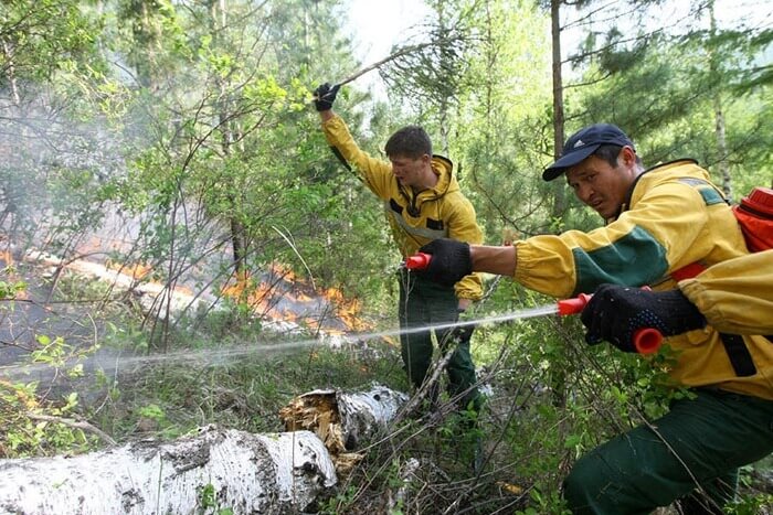 Πυροσβεστικό δάσος της Δημοκρατίας της Tuva