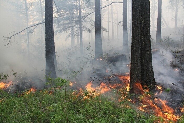 Kebakaran hutan wilayah Irkutsk