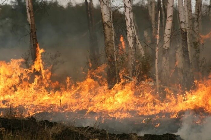 Regione di Kurgan in fiamme