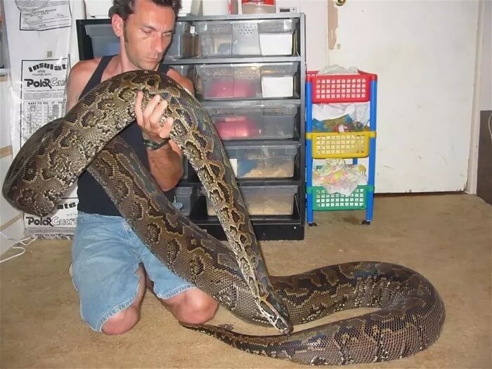 Hiëroglief python