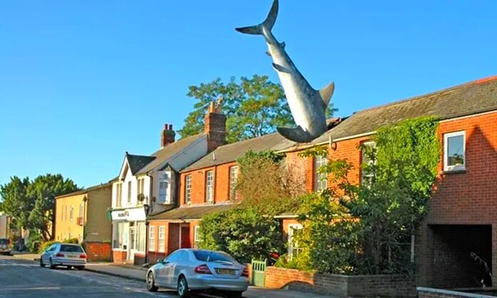 Ataque de tiburón a casa