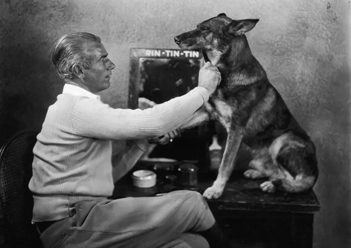 Rin Tin Tin the dog