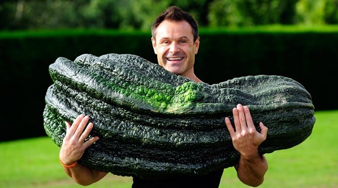 Zucchine giganti del peso di quasi 50 kg coltivate a Harrogate britannica
