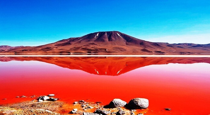 „Laguna Colorado“ - raudonas ežeras