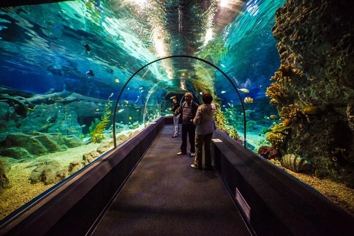Sotsji Dicovery World Aquarium