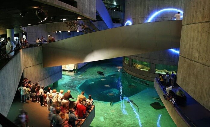 พิพิธภัณฑ์สัตว์น้ำแห่งชาติสหรัฐอเมริกา