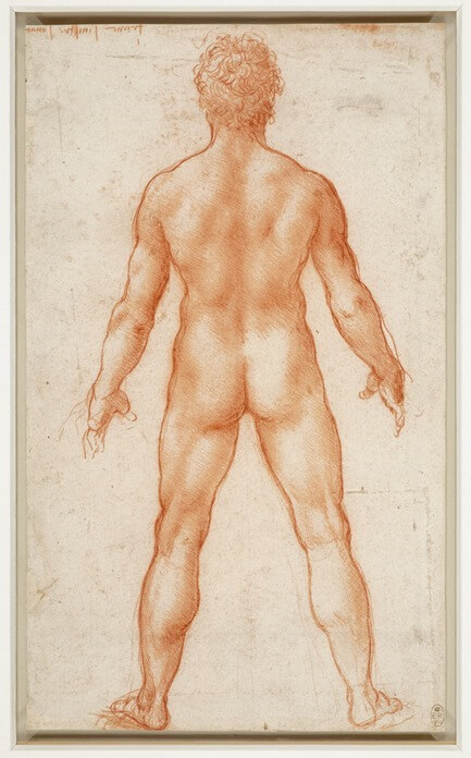 Leonardo da Vinci stojący nagi mężczyzna
