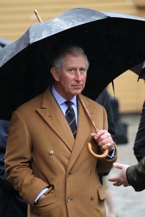 الأمير تشارلز في معطف فيكونا
